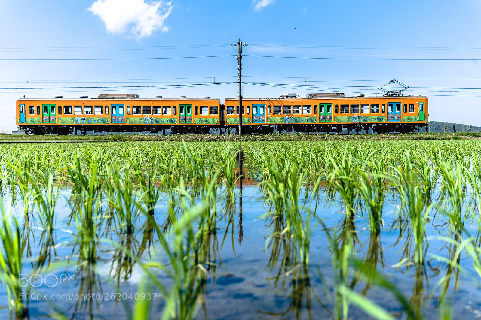 Sony a7 III sample photo. Train train photography