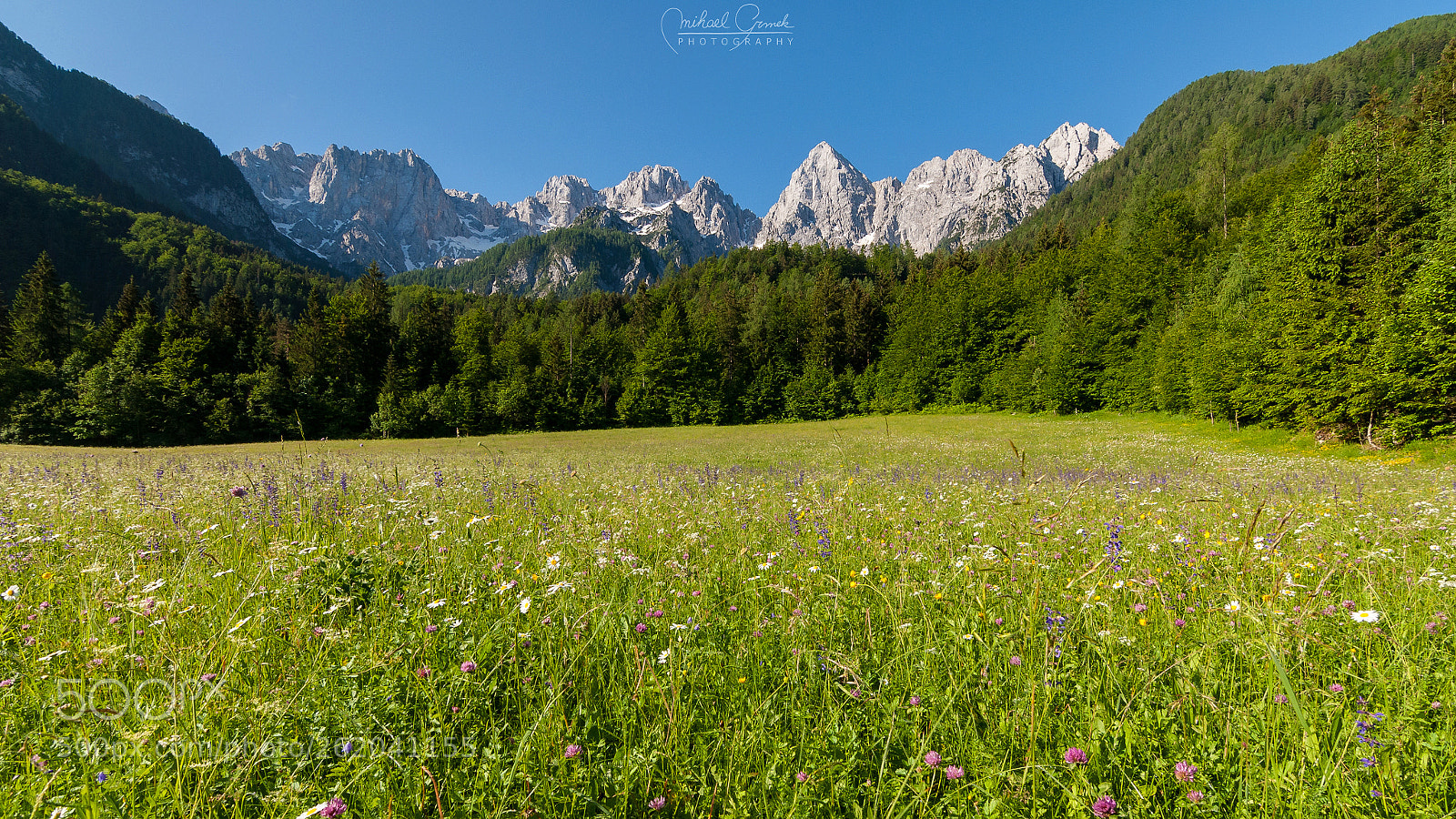 Nikon D200 sample photo. The martuljek group, slovenia photography