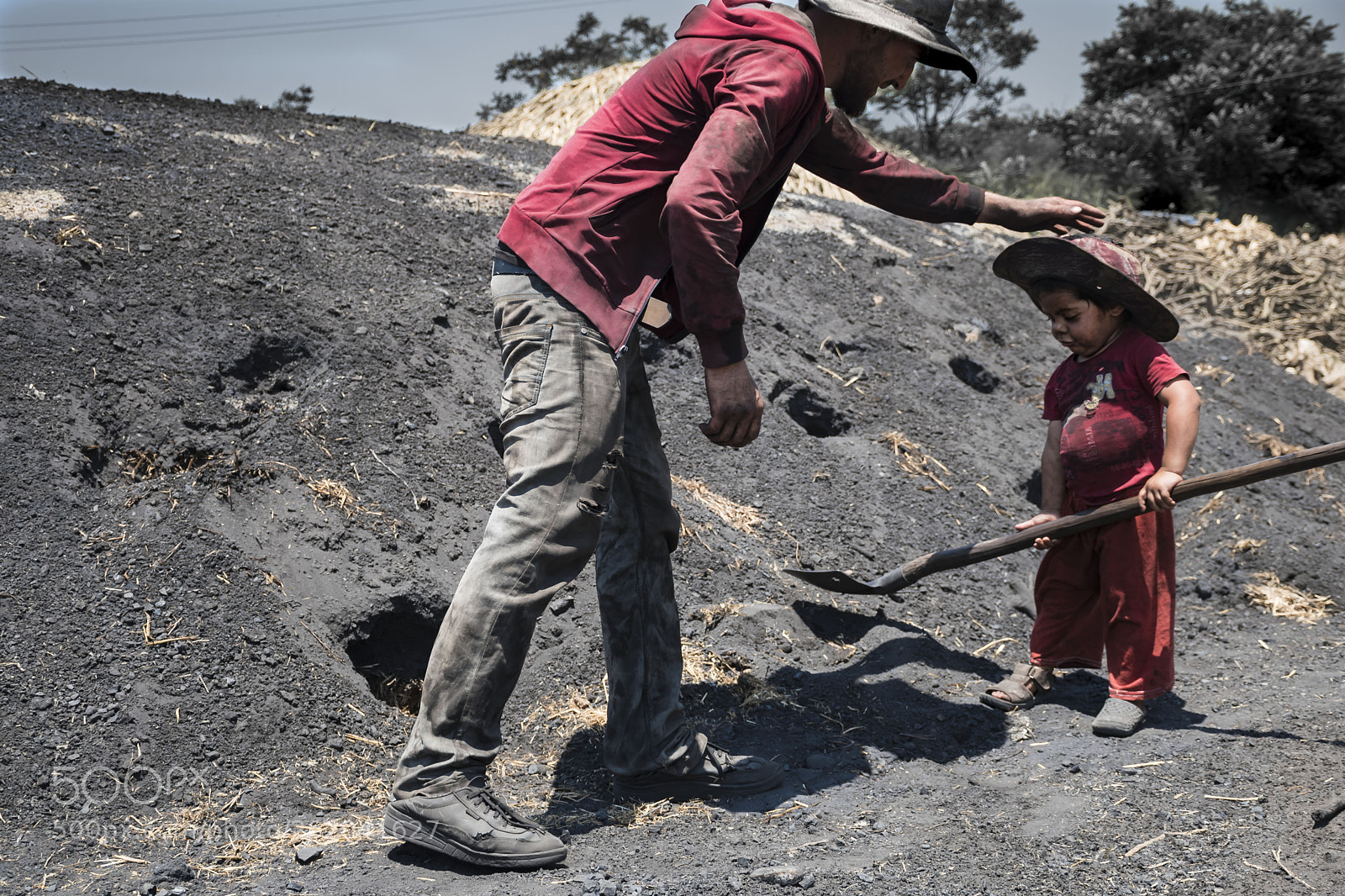 Nikon D5600 sample photo. Worker photography