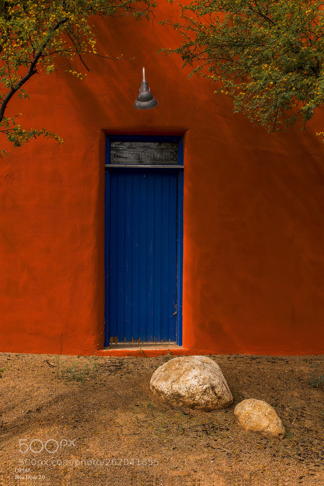 Nikon D850 sample photo. Dp567 blue door 2.0 photography