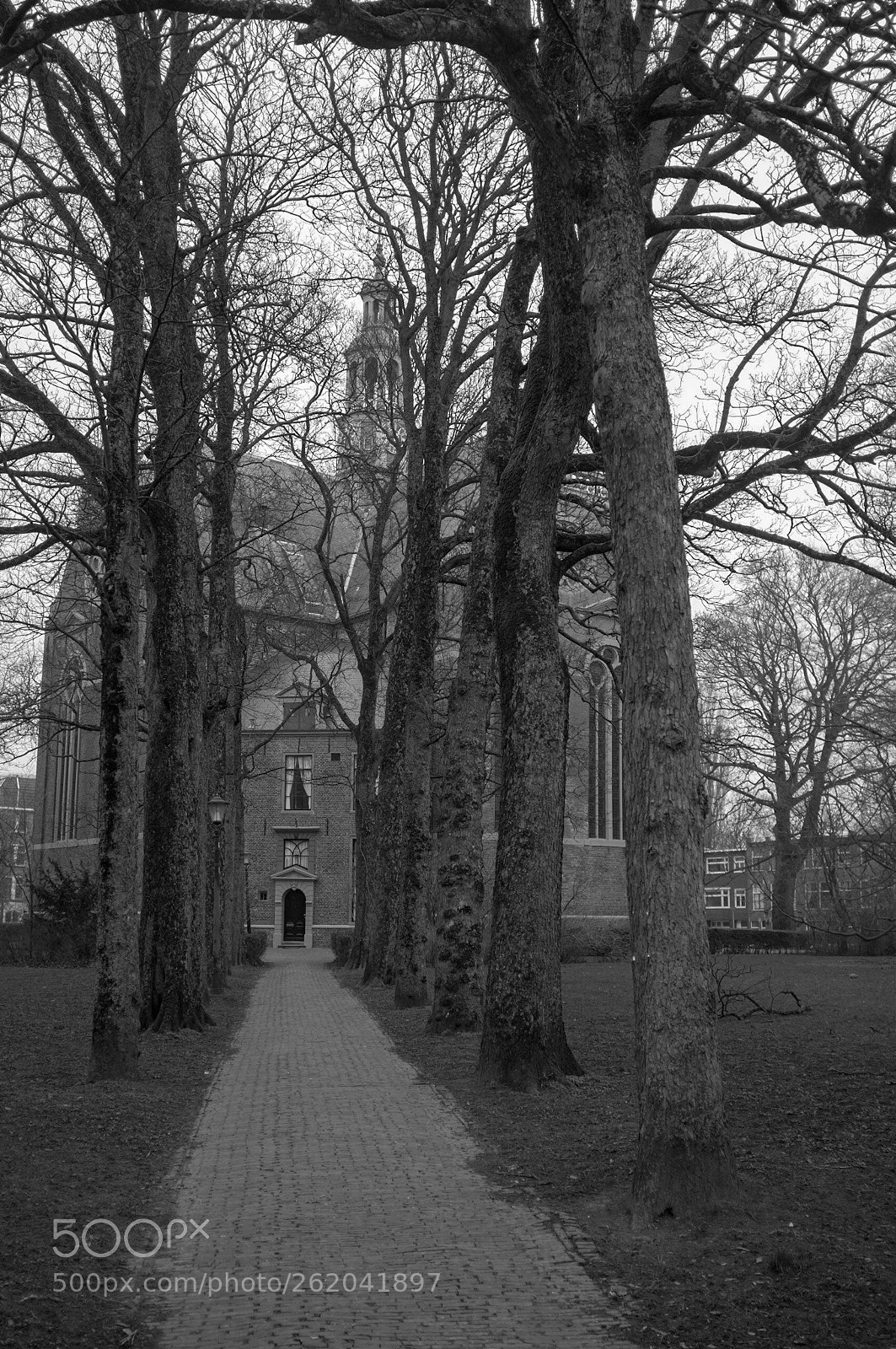 Fujifilm FinePix X100 sample photo. Take me to  church photography