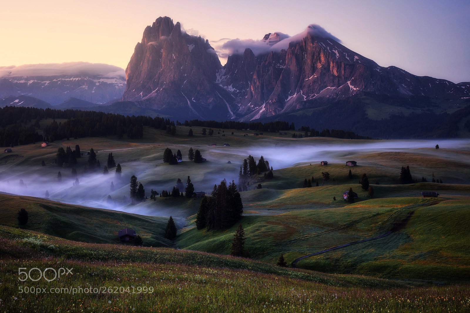 Canon EOS 5D Mark IV sample photo. An alpine beauty photography
