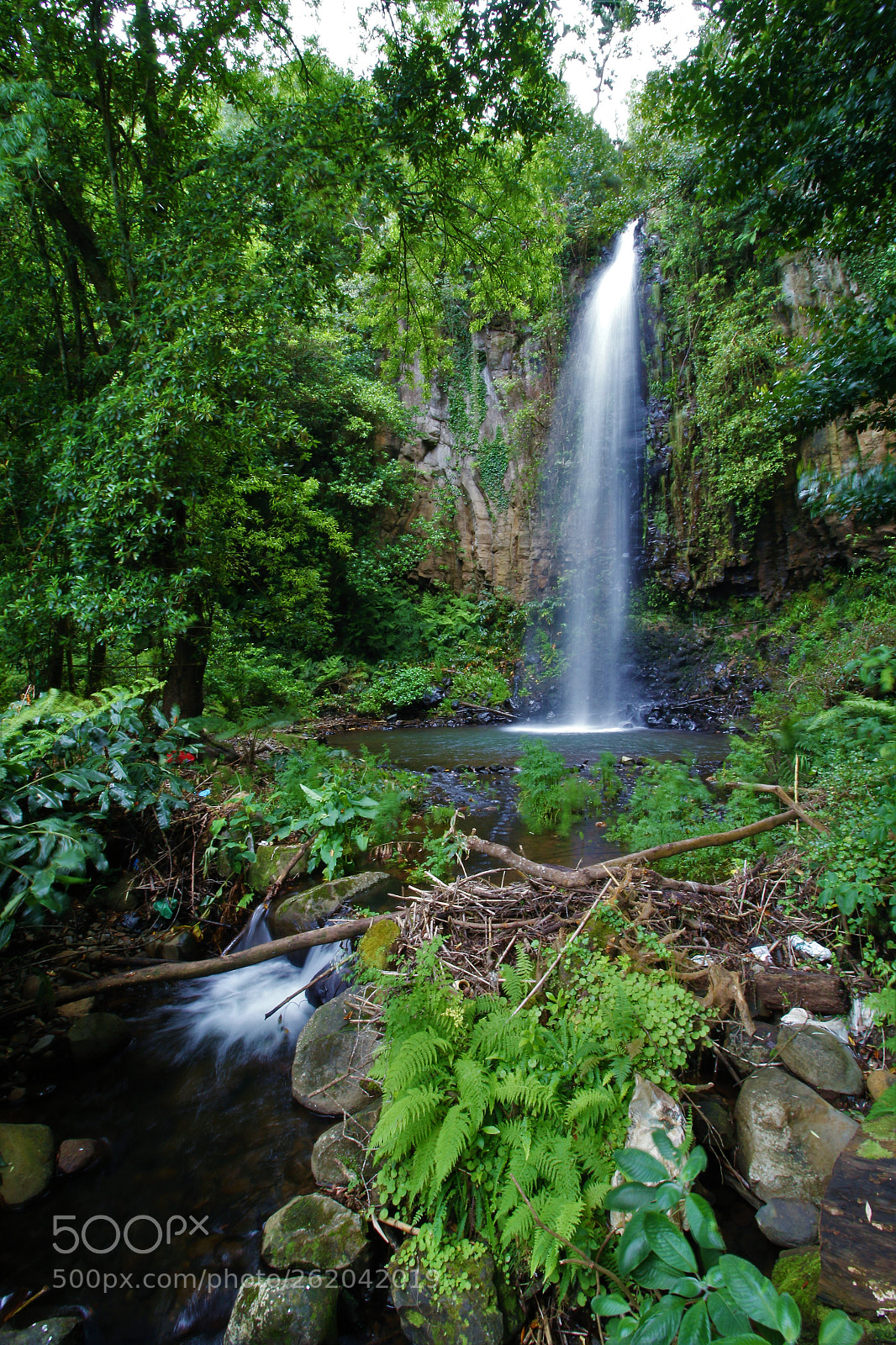 Canon EOS 70D sample photo. Cascata em santana madeira photography