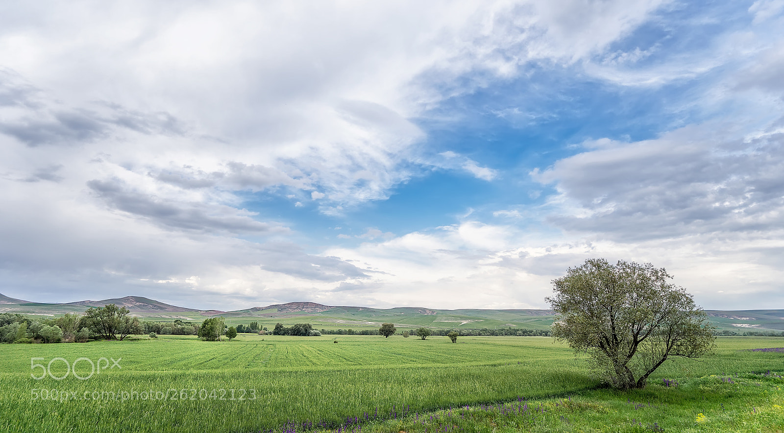 Sony a7 II sample photo. Dsc00103-2.jpg photography