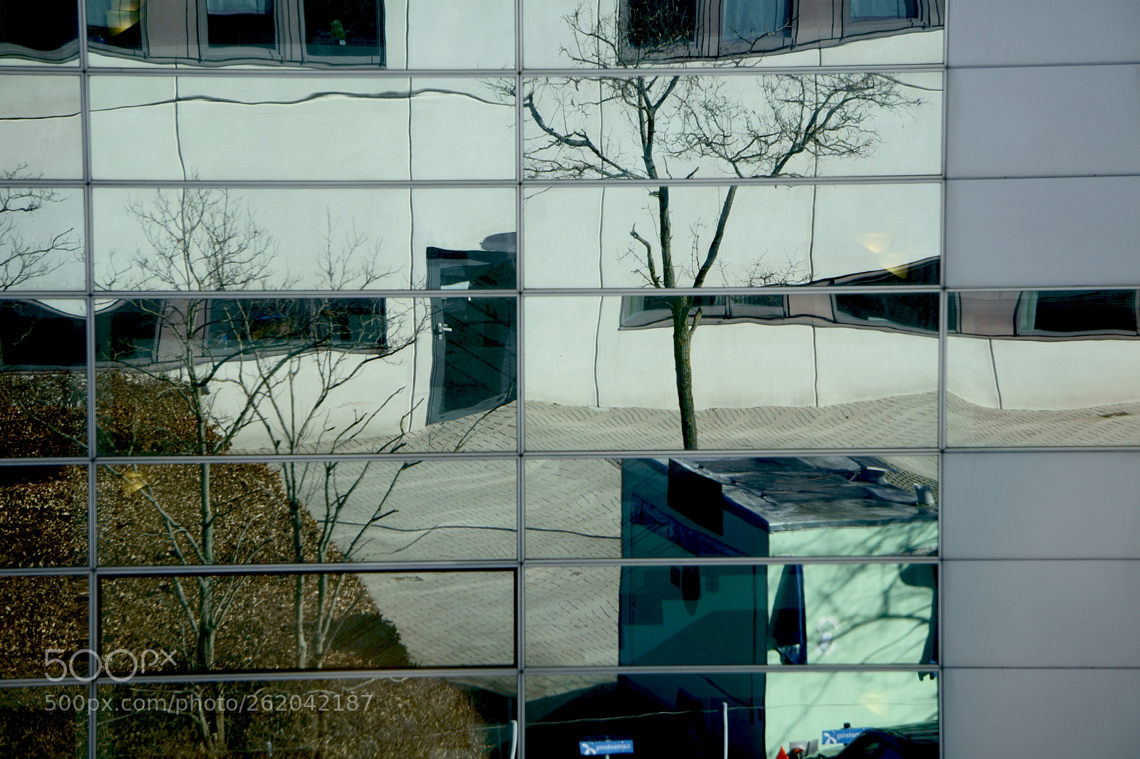 Sony a5100 sample photo. Fragmented tree photography