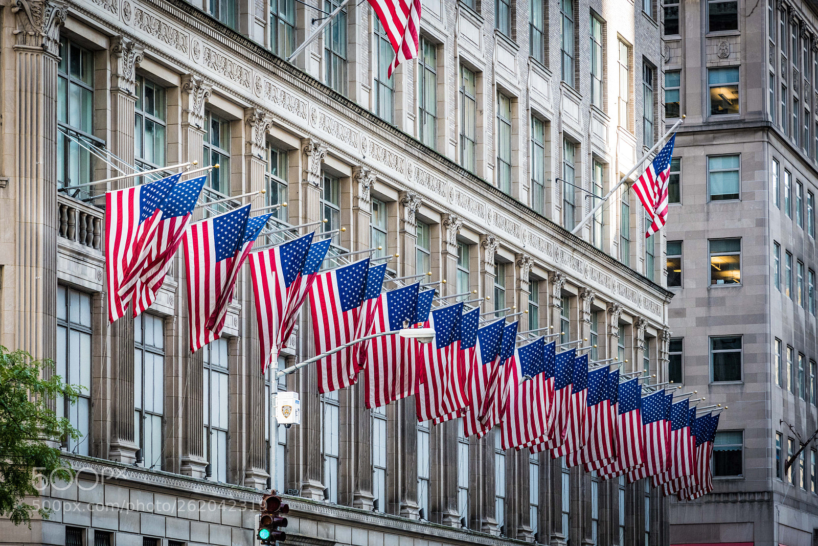 Nikon D810 sample photo. New york in my photography
