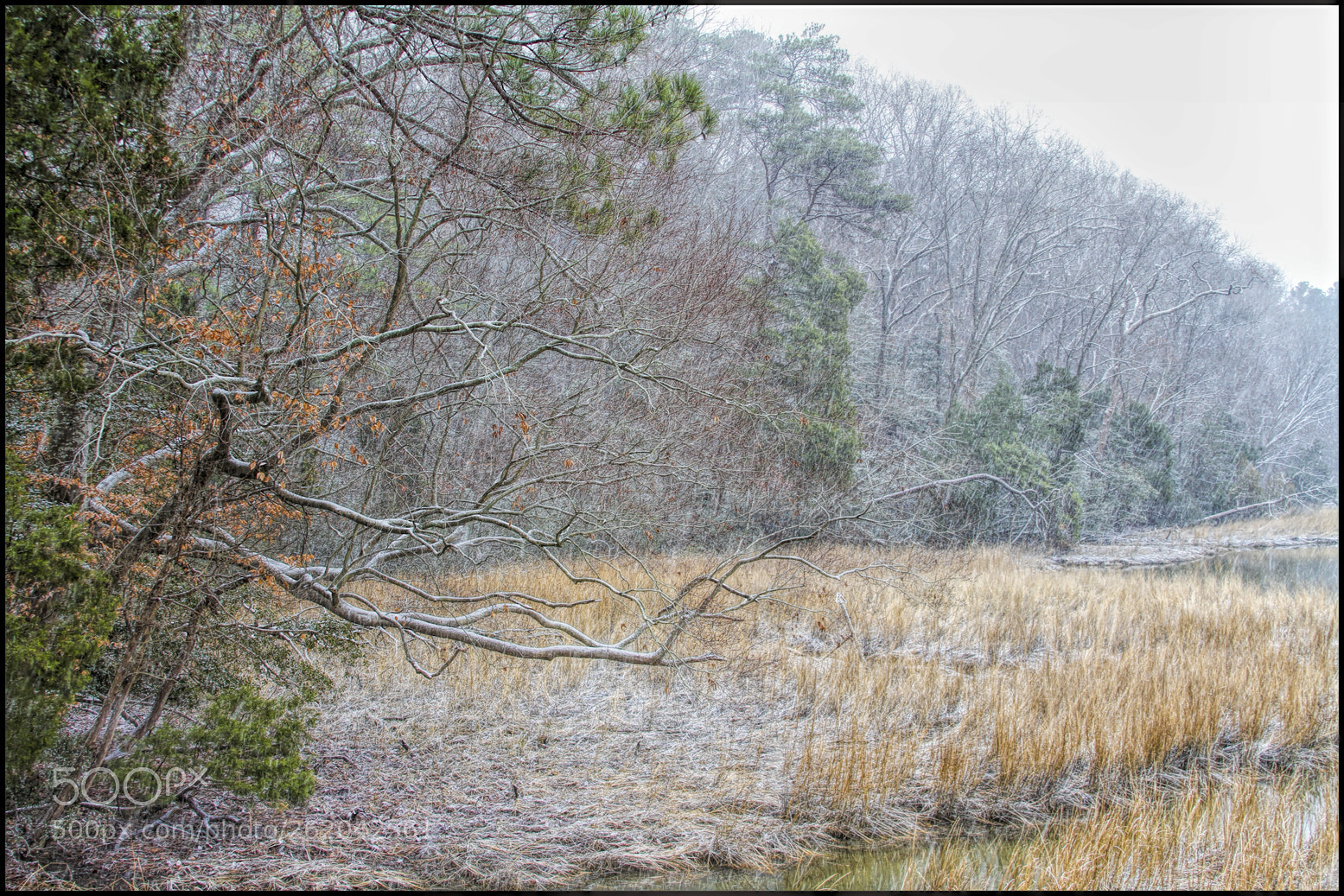 Canon EOS 7D sample photo. Out of reach photography