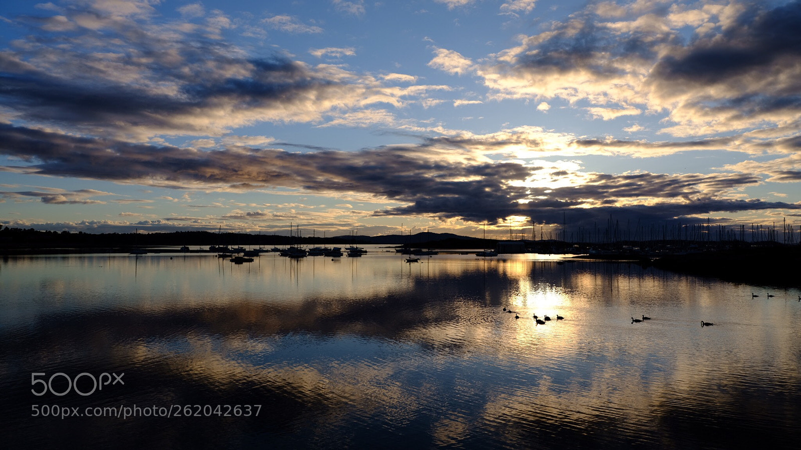 Fujifilm GFX 50S sample photo. Sunrise of oak bay photography