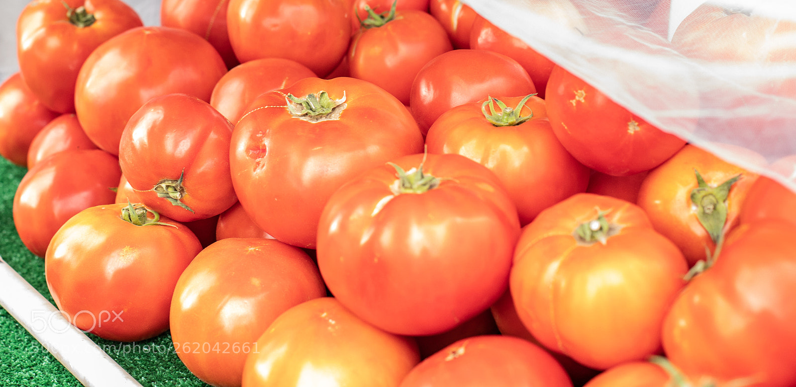 Canon EOS 5D Mark IV sample photo. Big red tomatoes beautifully photography