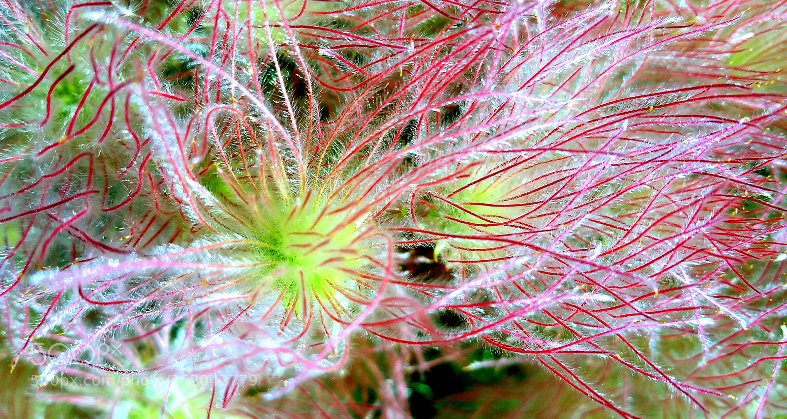 Samsung Galaxy Note4 sample photo. Soft lines photography