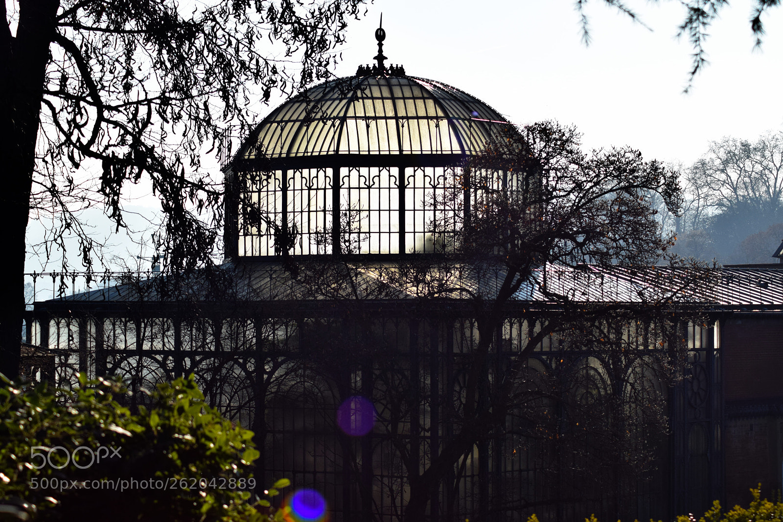 Nikon D5300 sample photo. Mystic glasshouse photography