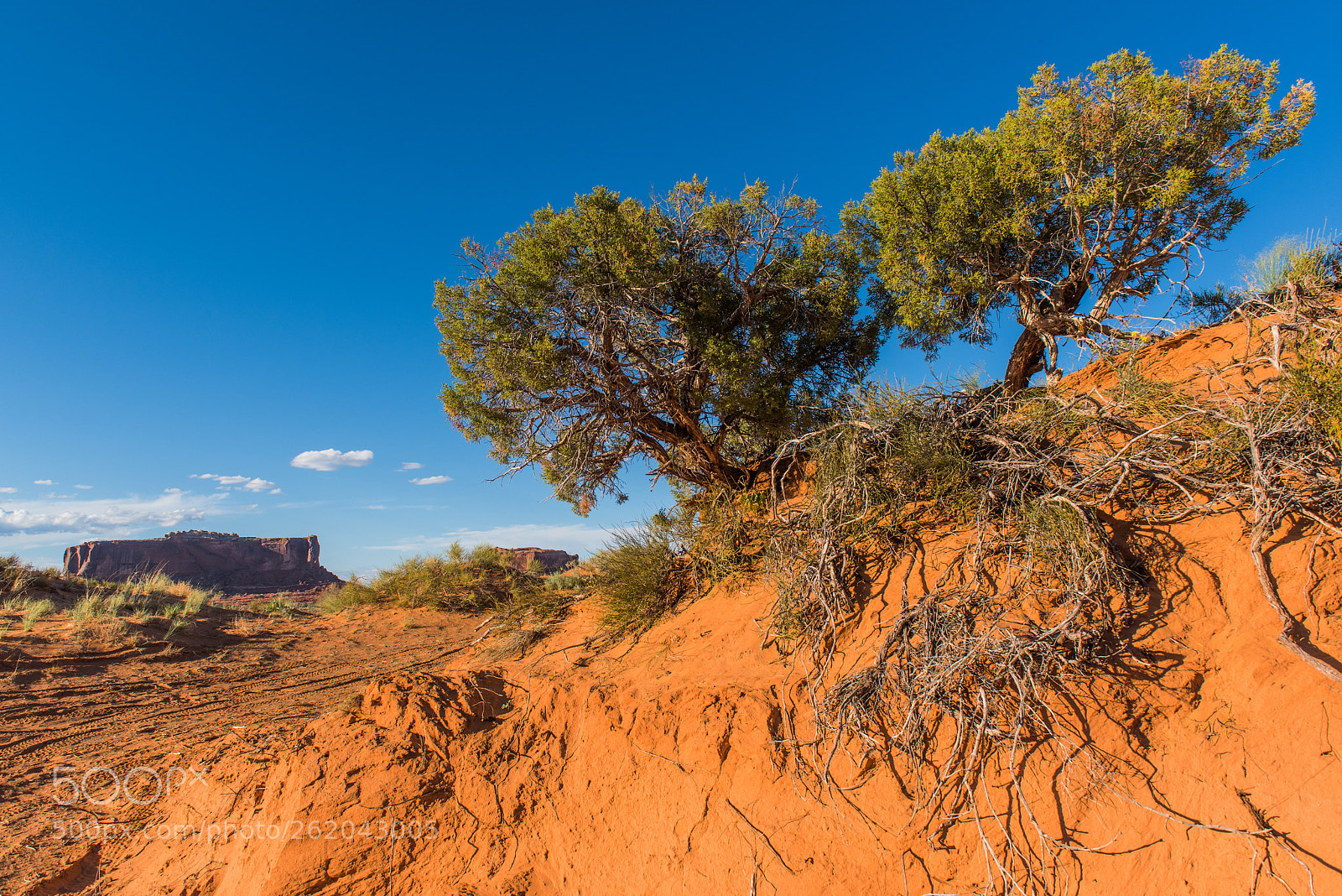 Nikon D750 sample photo. The far country photography