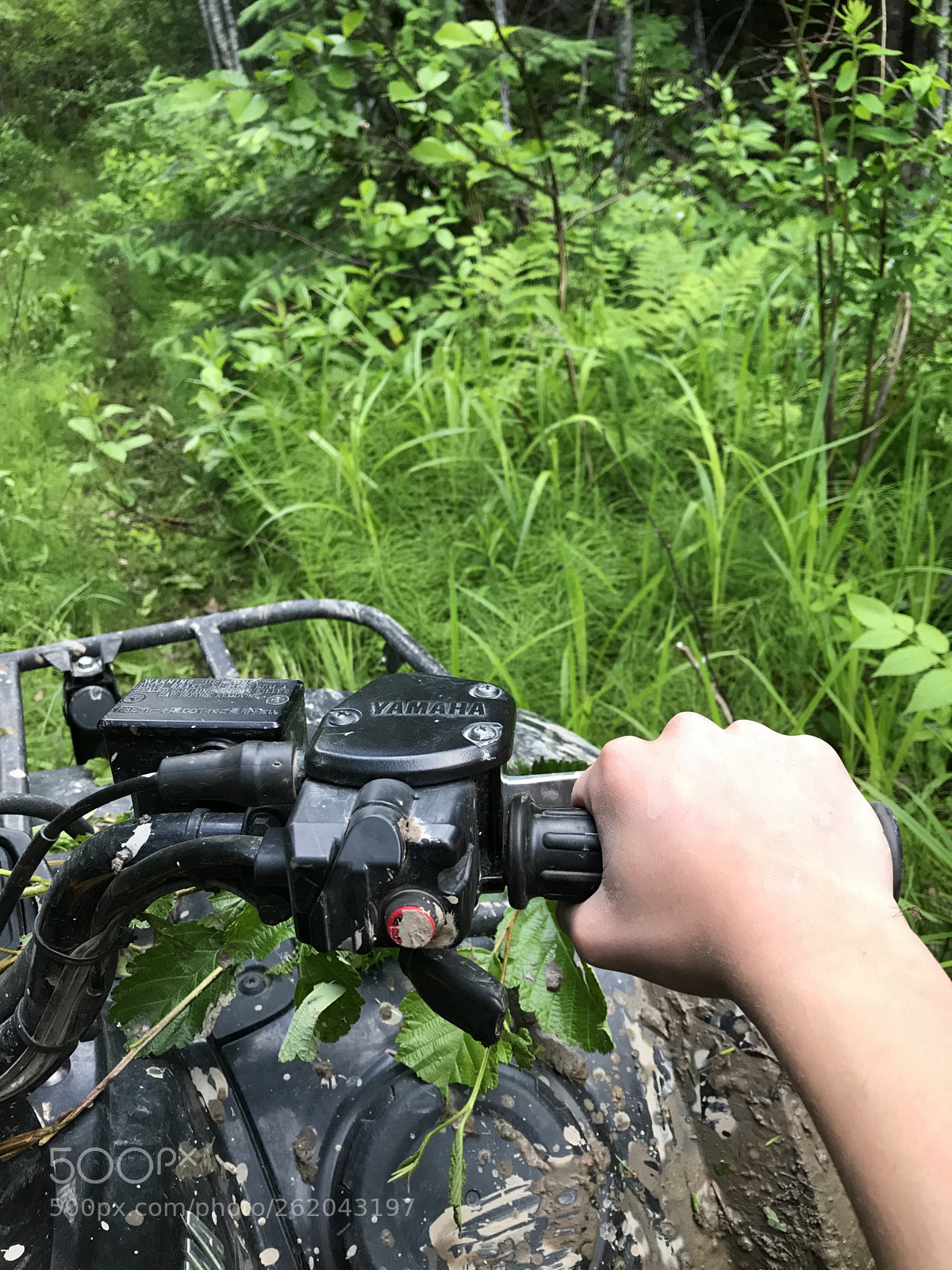Apple iPhone 7 sample photo. Atving photography