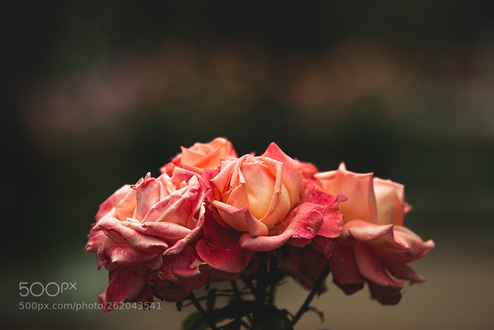 Nikon D800 sample photo. Bouquet photography