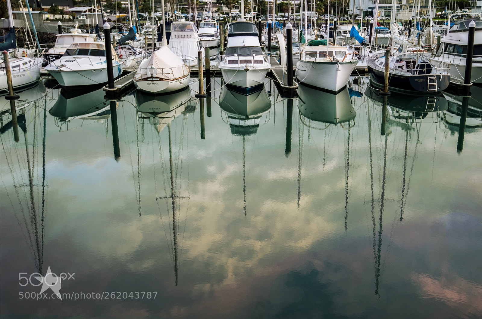 Nikon D5100 sample photo. Fused photography