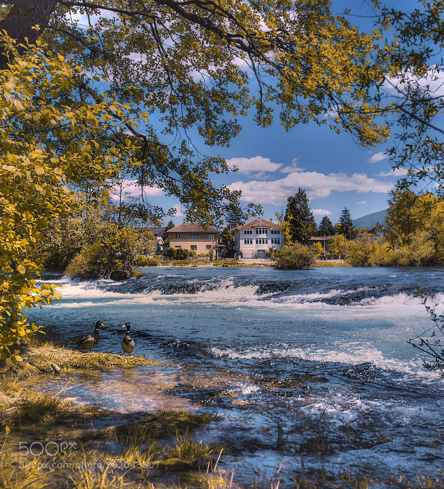 Nikon D610 sample photo. River photography