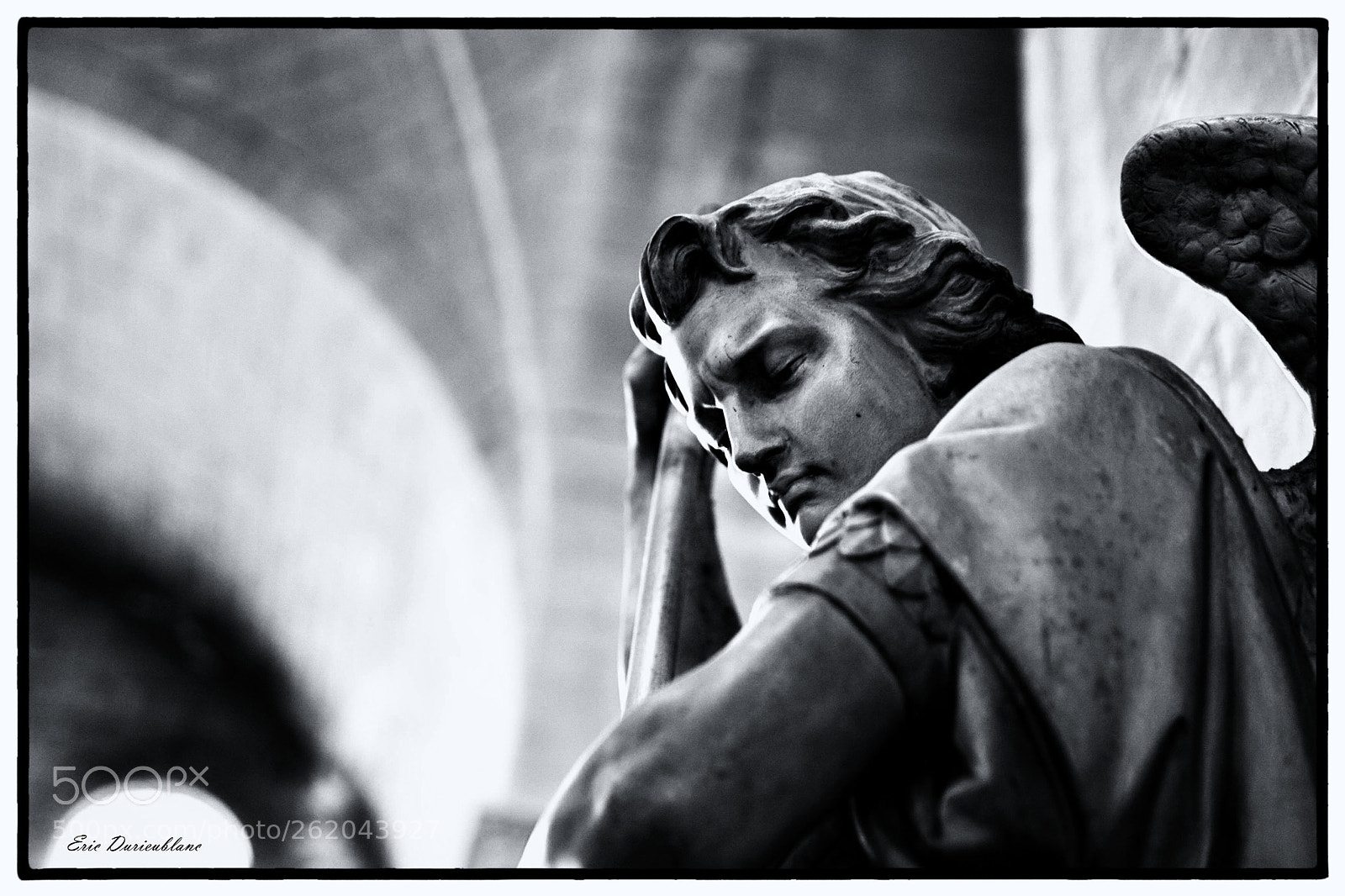Canon EOS-1D Mark II sample photo. Untitled photography