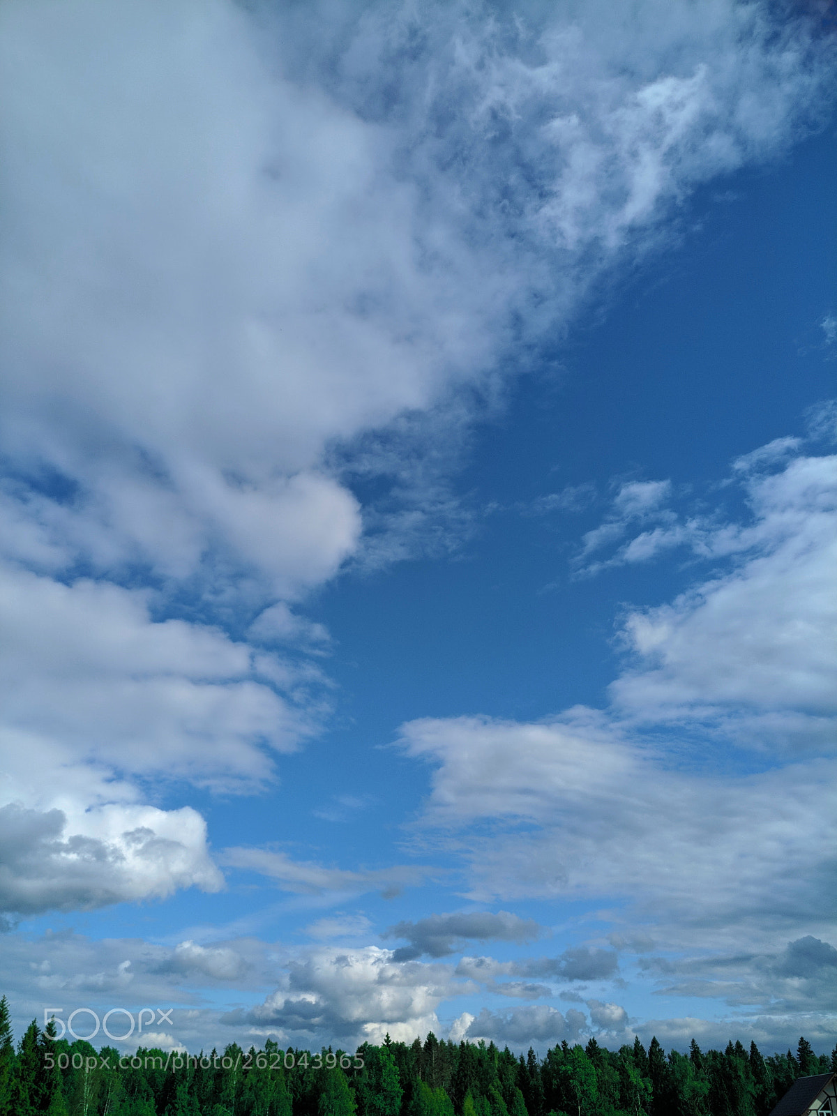 OnePlus A3003 sample photo. Untitled photography