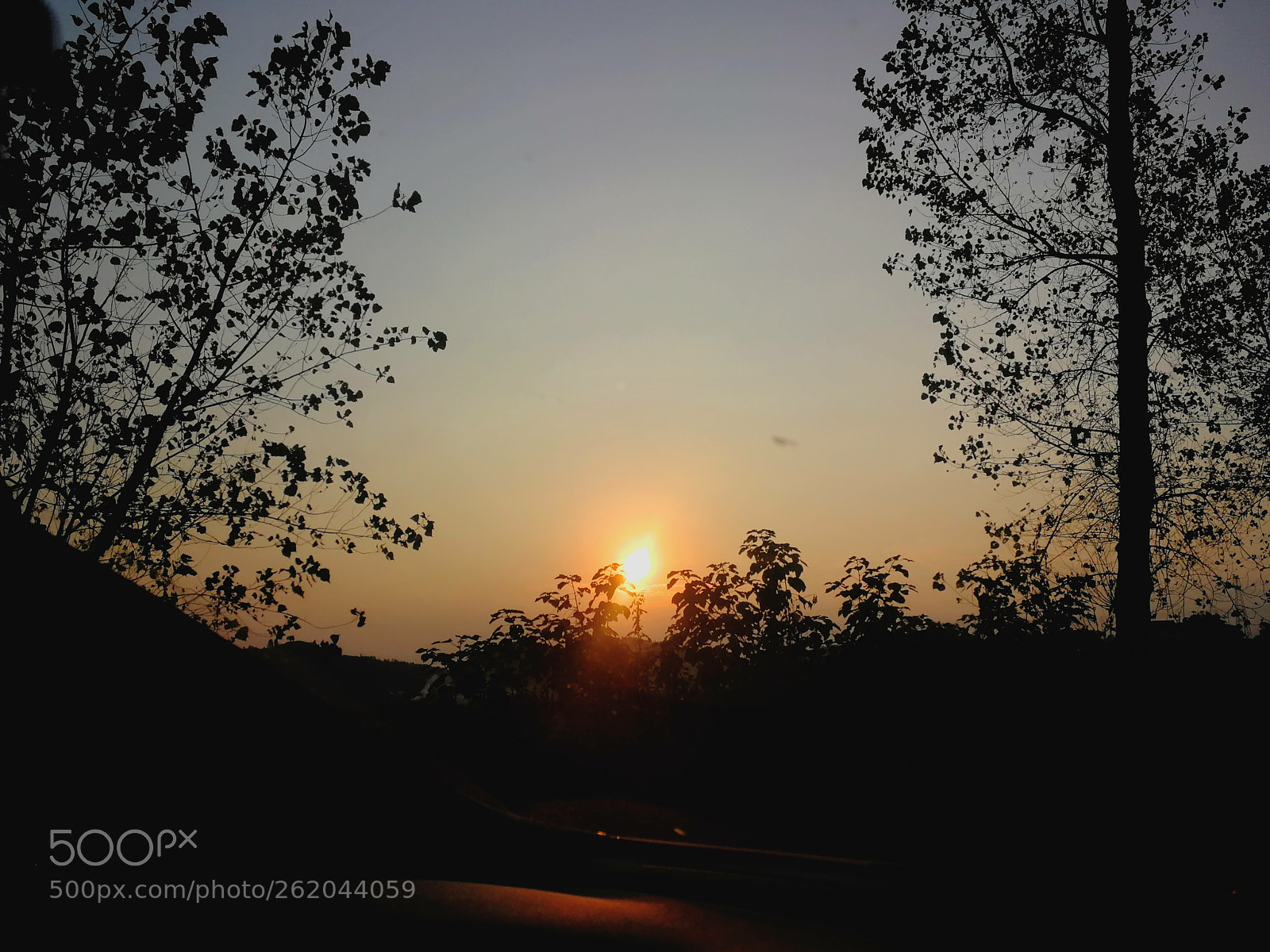 HUAWEI P10 sample photo. Untitled photography