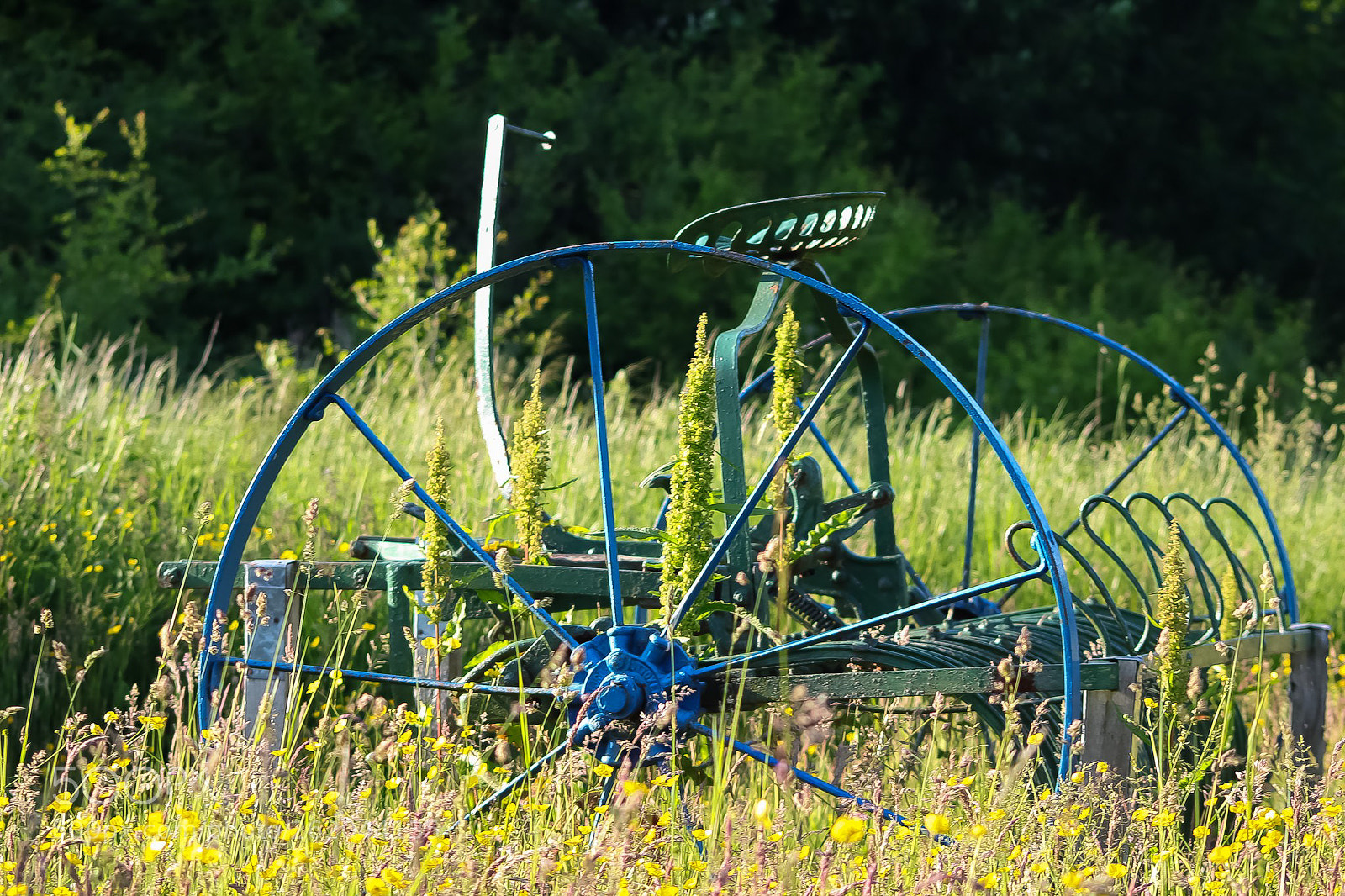 Canon EOS 77D (EOS 9000D / EOS 770D) sample photo. Old abandoned farmers plough photography