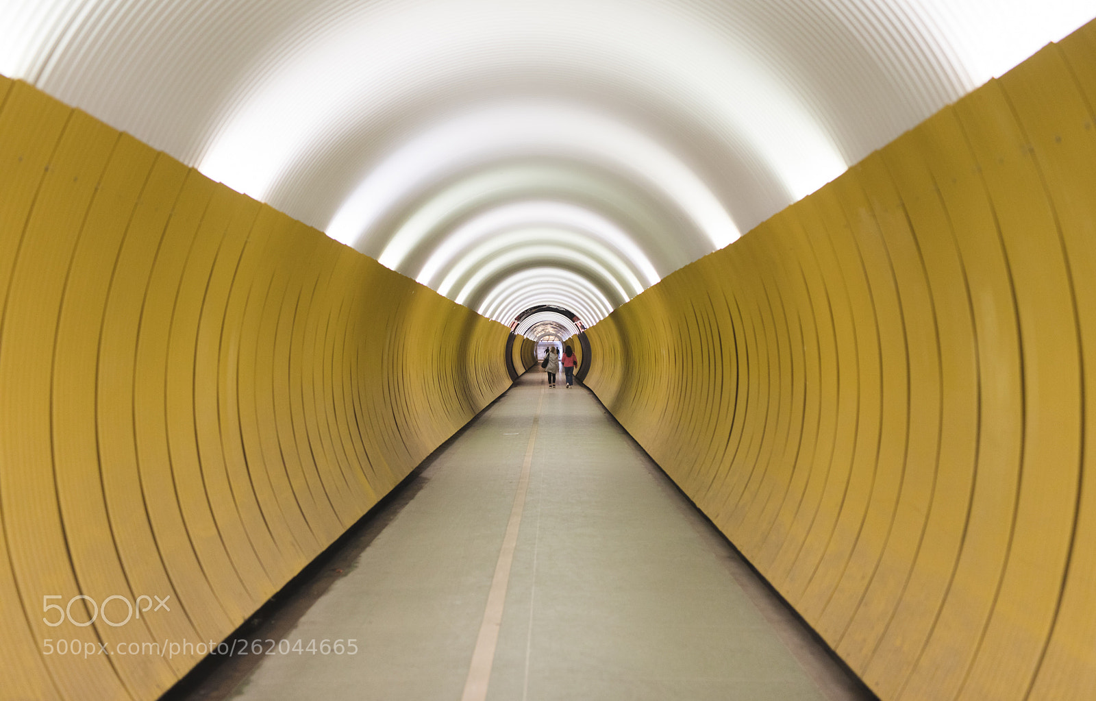 Canon EOS 5D Mark IV sample photo. Down the drain photography