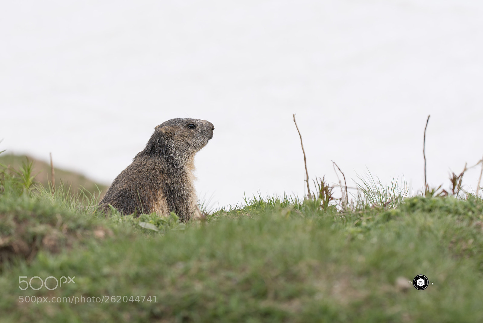 Nikon D750 sample photo. Il risveglio photography