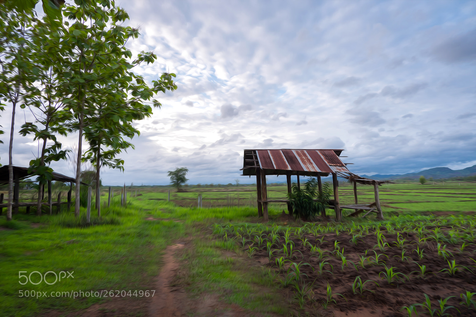 Fujifilm X-A5 sample photo. Viewoilcolor photography