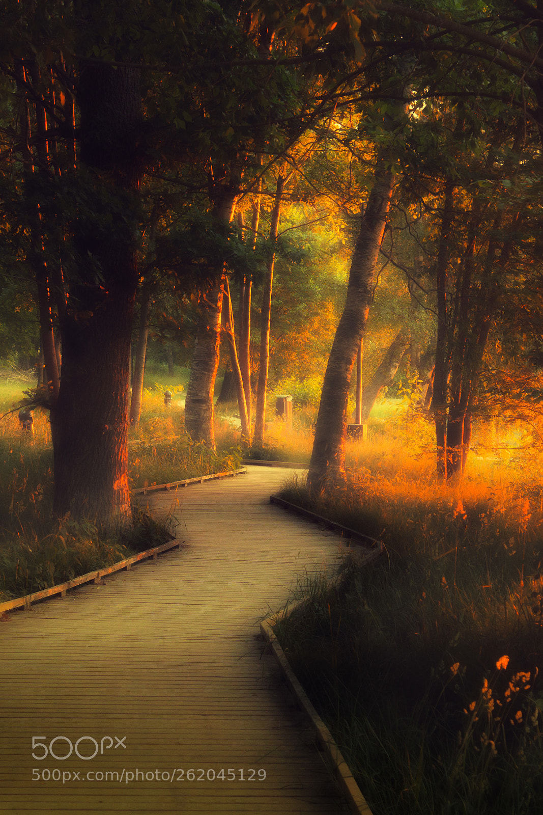 Canon EOS 70D sample photo. Sunset promenade photography