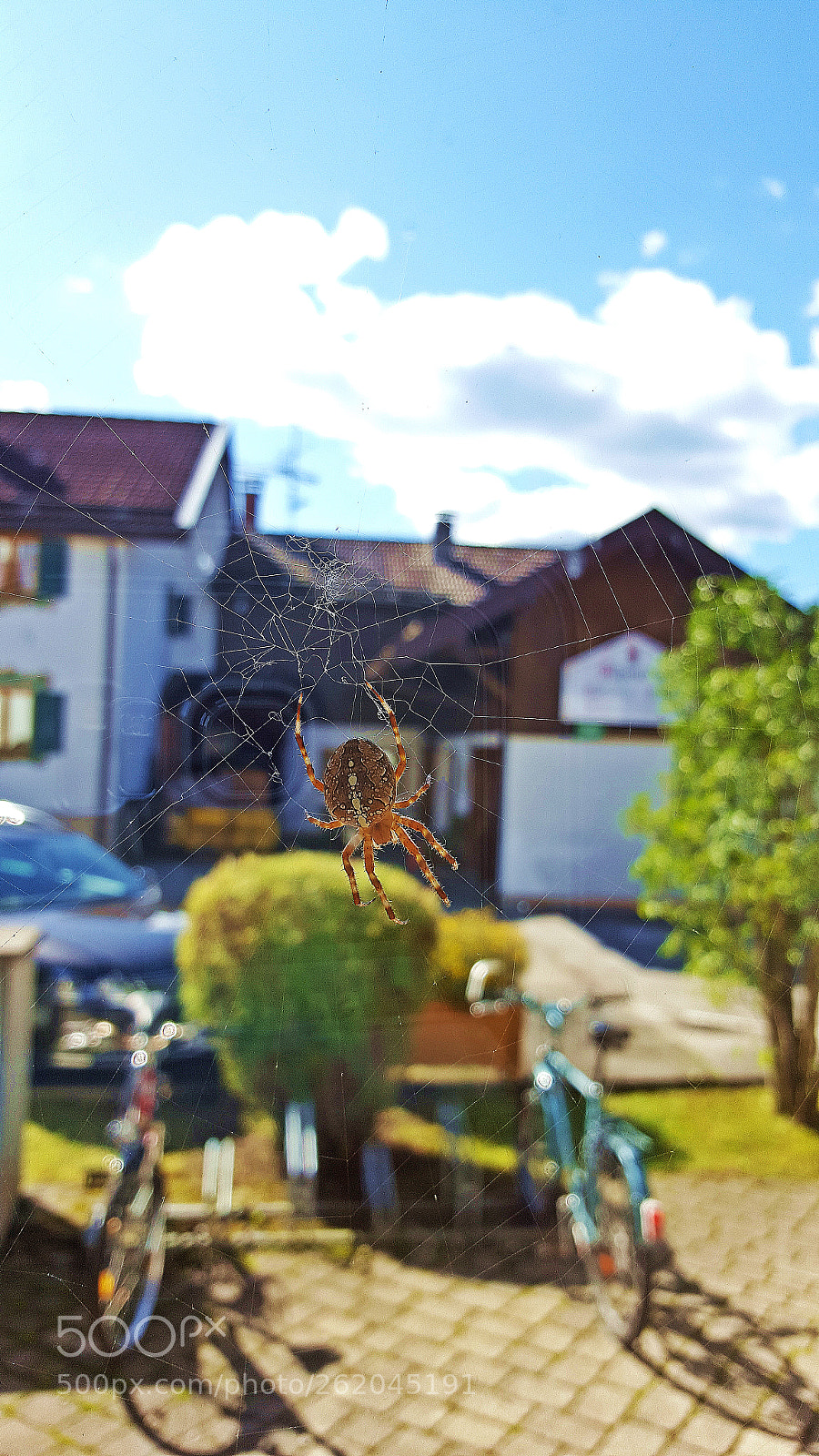 Samsung Galaxy S6 sample photo. Spider on window photography
