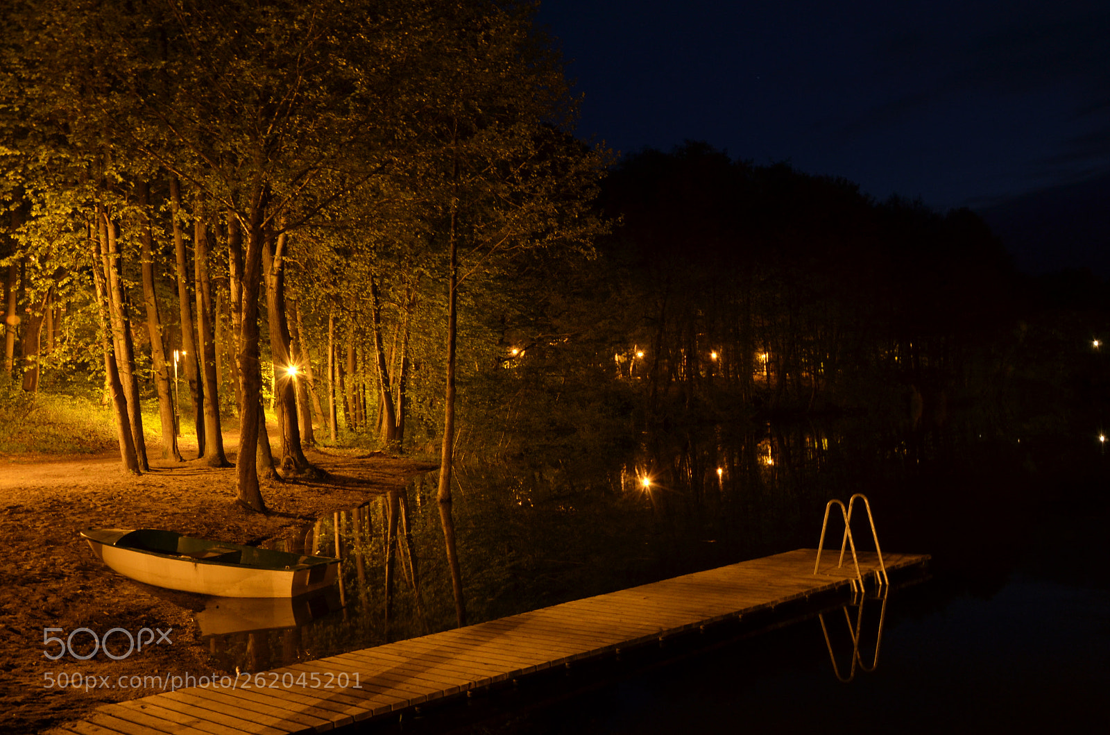 Nikon D5100 sample photo. Night walk photography