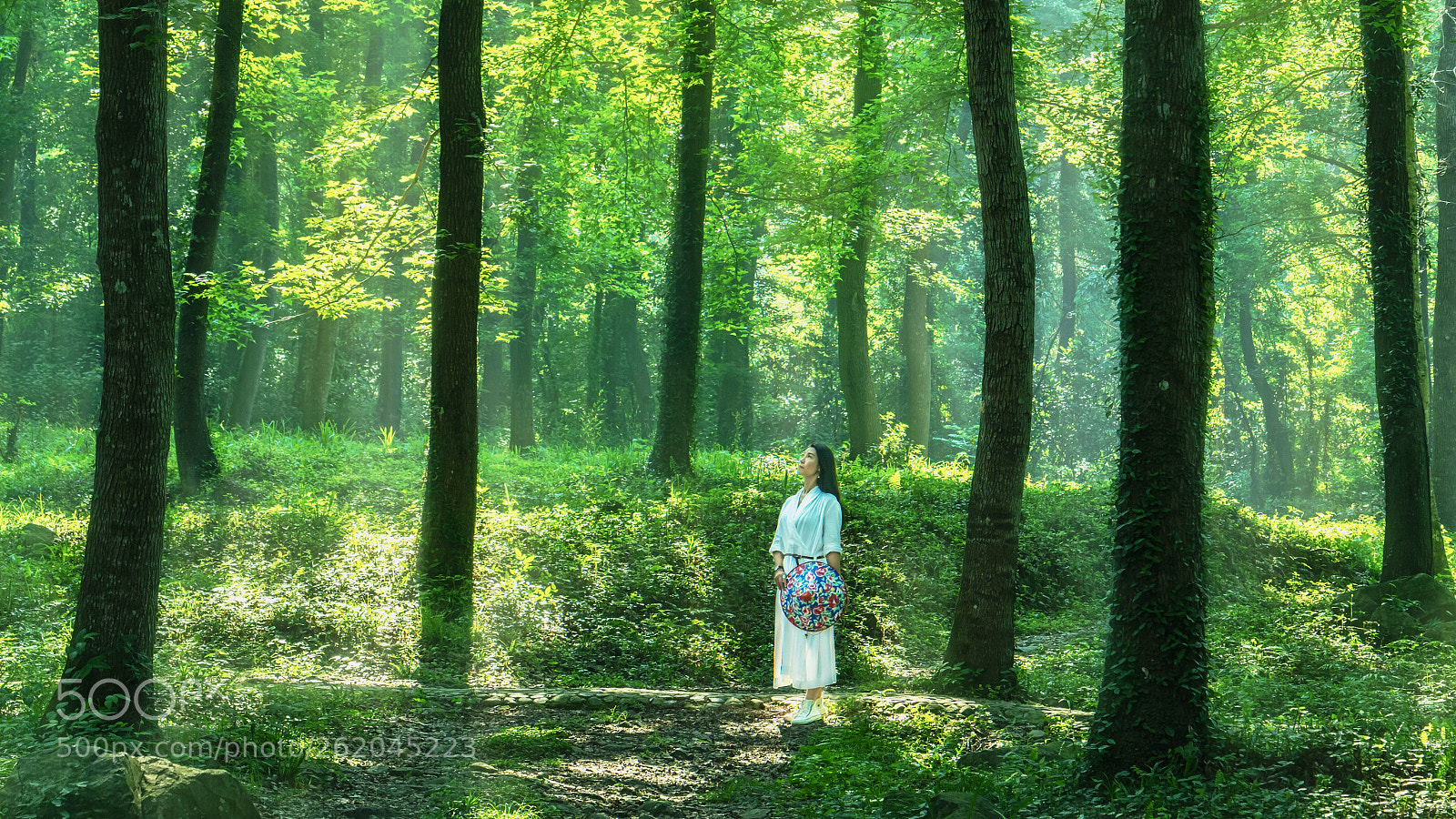 Sony a7R II sample photo. Summer day photography