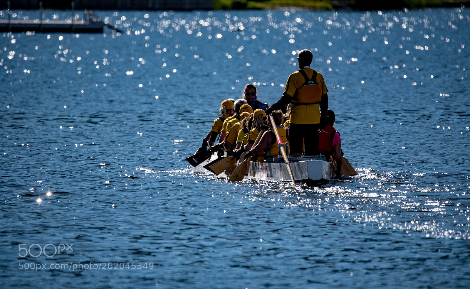 Nikon D750 sample photo. Team work photography