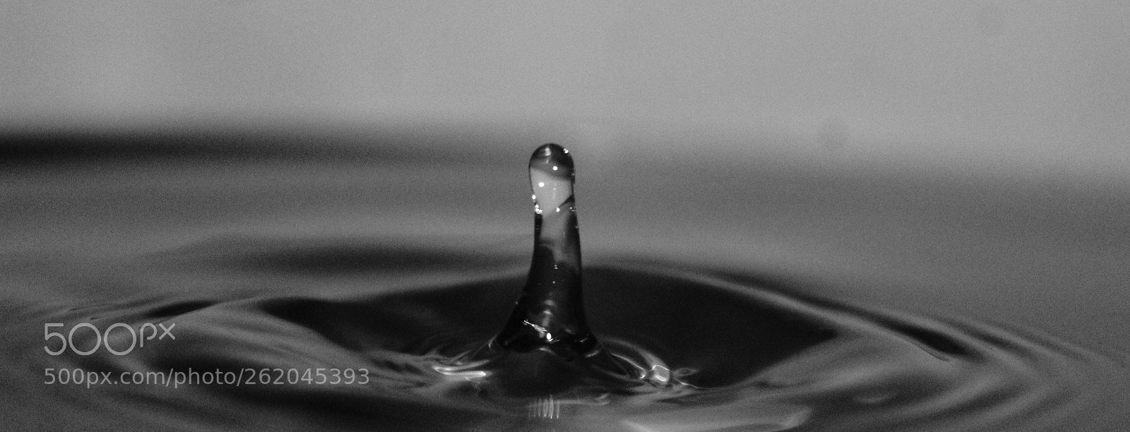 Canon EOS 1300D (EOS Rebel T6 / EOS Kiss X80) sample photo. Water drop photography