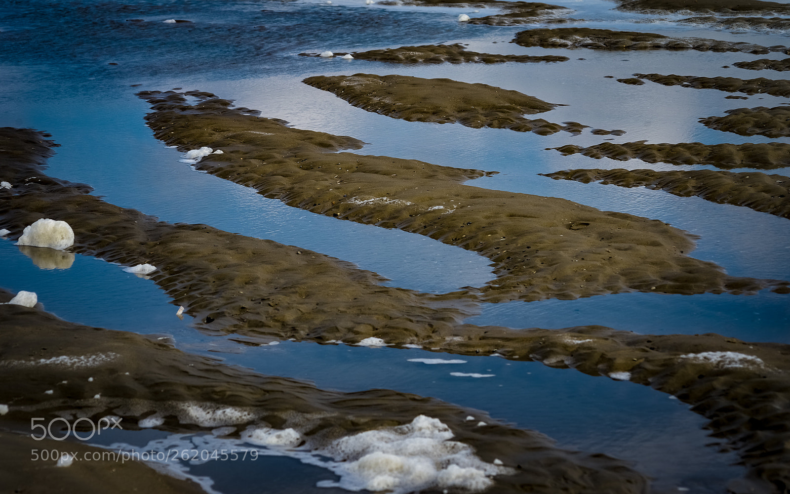 Nikon D800 sample photo. Im priel photography