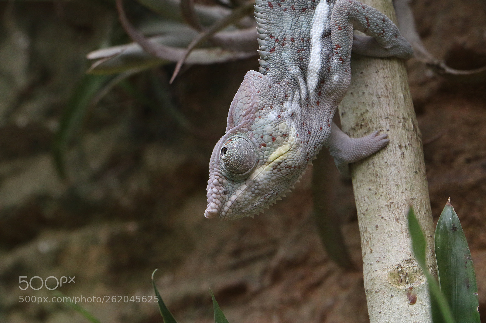 Canon EOS 70D sample photo. Untitled photography