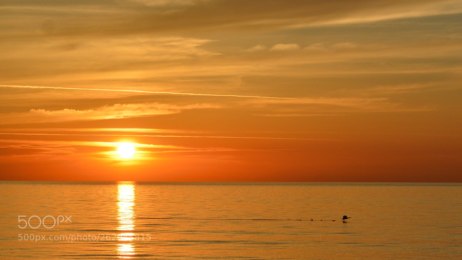 Nikon D3200 sample photo. Sunset on anholt photography