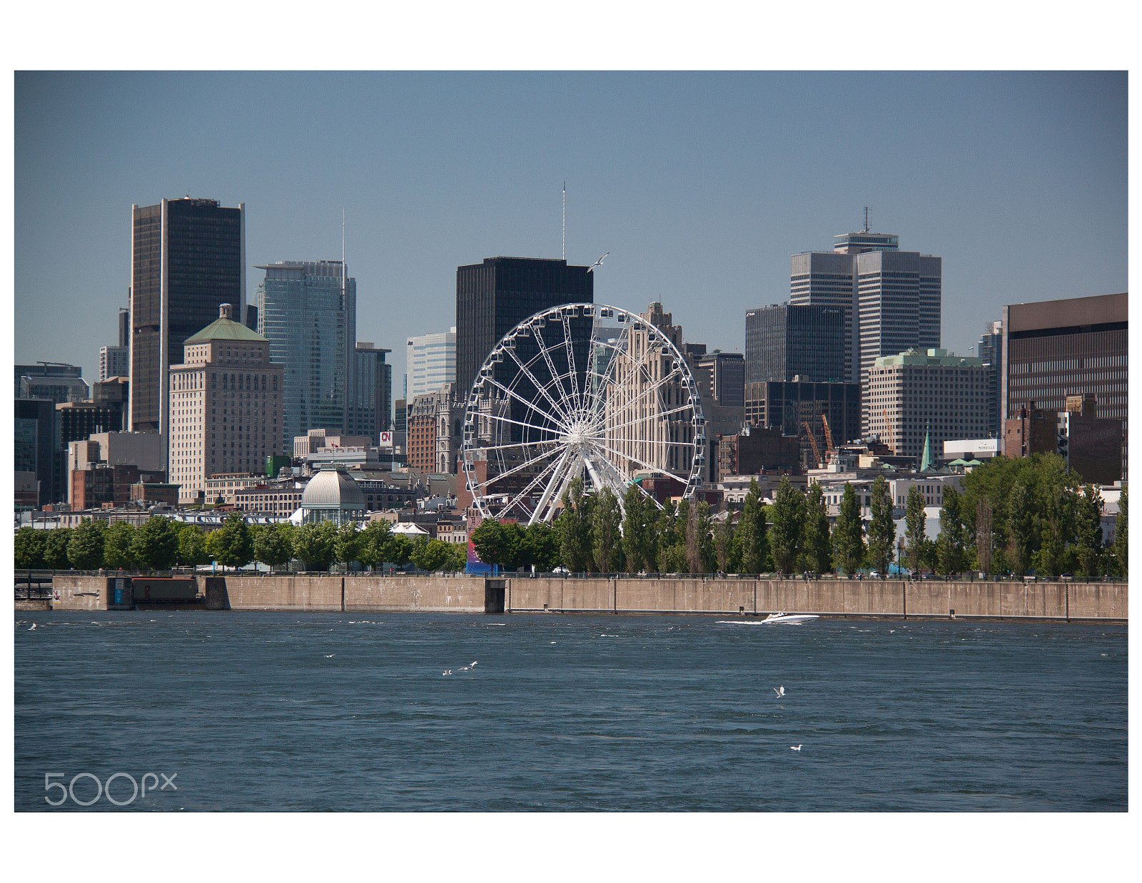Canon EOS 500D (EOS Rebel T1i / EOS Kiss X3) sample photo. La grande roue de photography