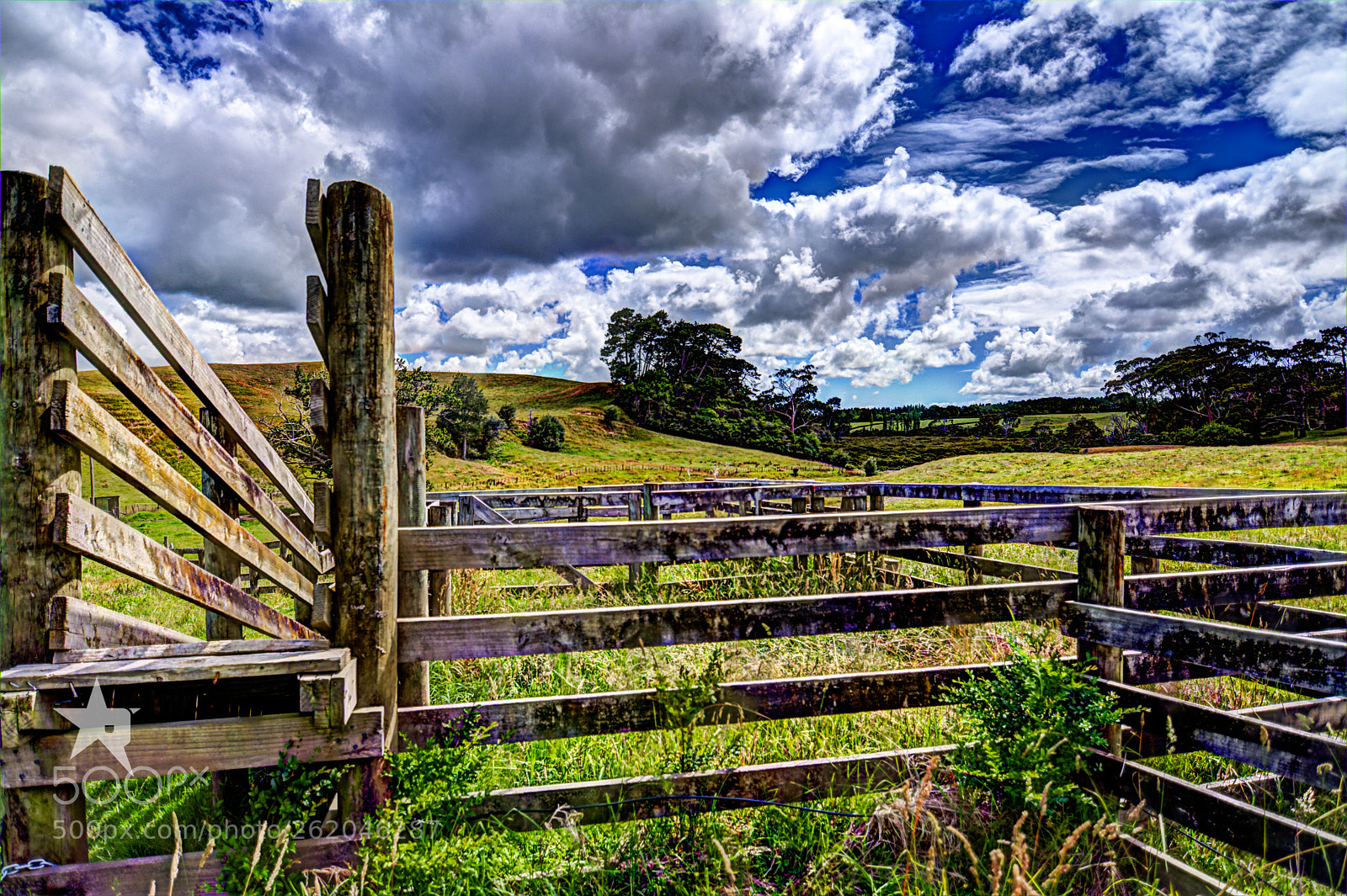 Nikon D7100 sample photo. Fused photography