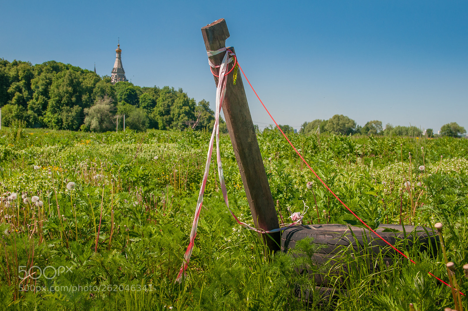 Nikon D5000 sample photo. Untitled photography
