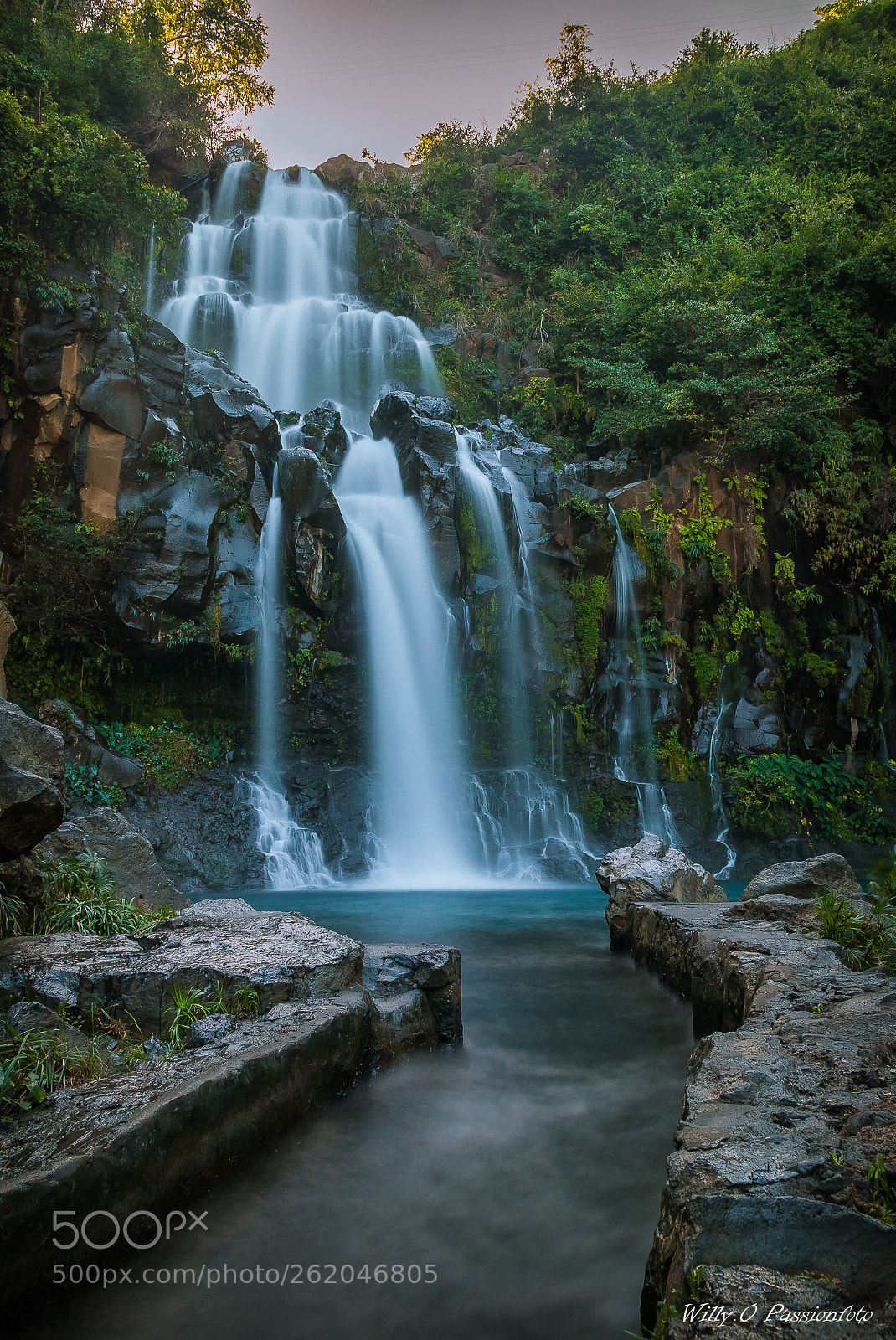 Canon EOS 70D sample photo. Bassin des aigrettes le photography