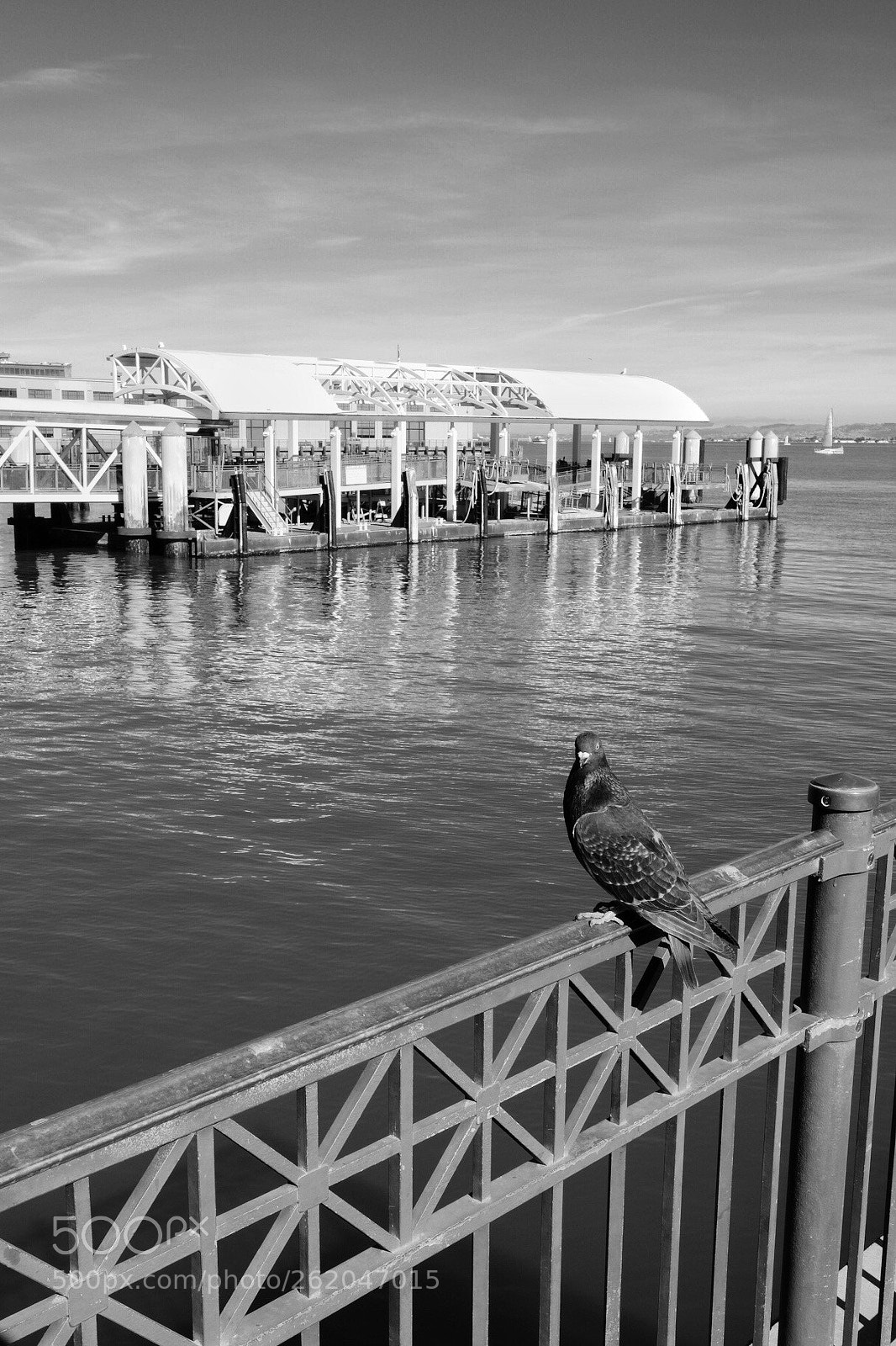 Fujifilm X-E3 sample photo. A little birdie told photography