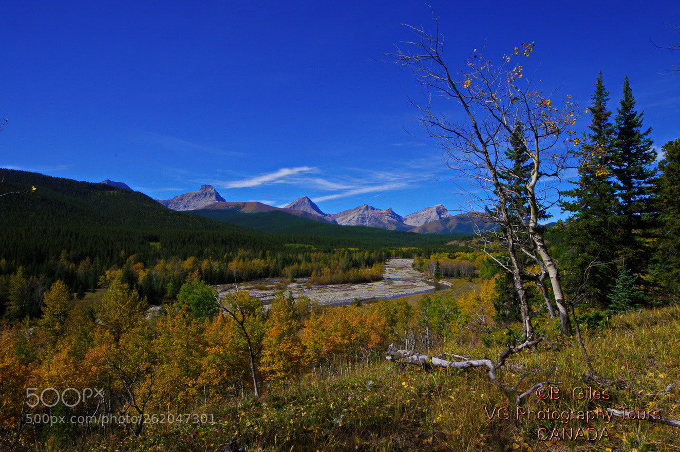 Pentax K-3 sample photo. Autumn splender photography