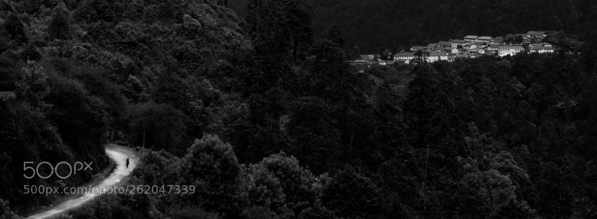 Sony Alpha NEX-7 sample photo. Far from the maddening photography