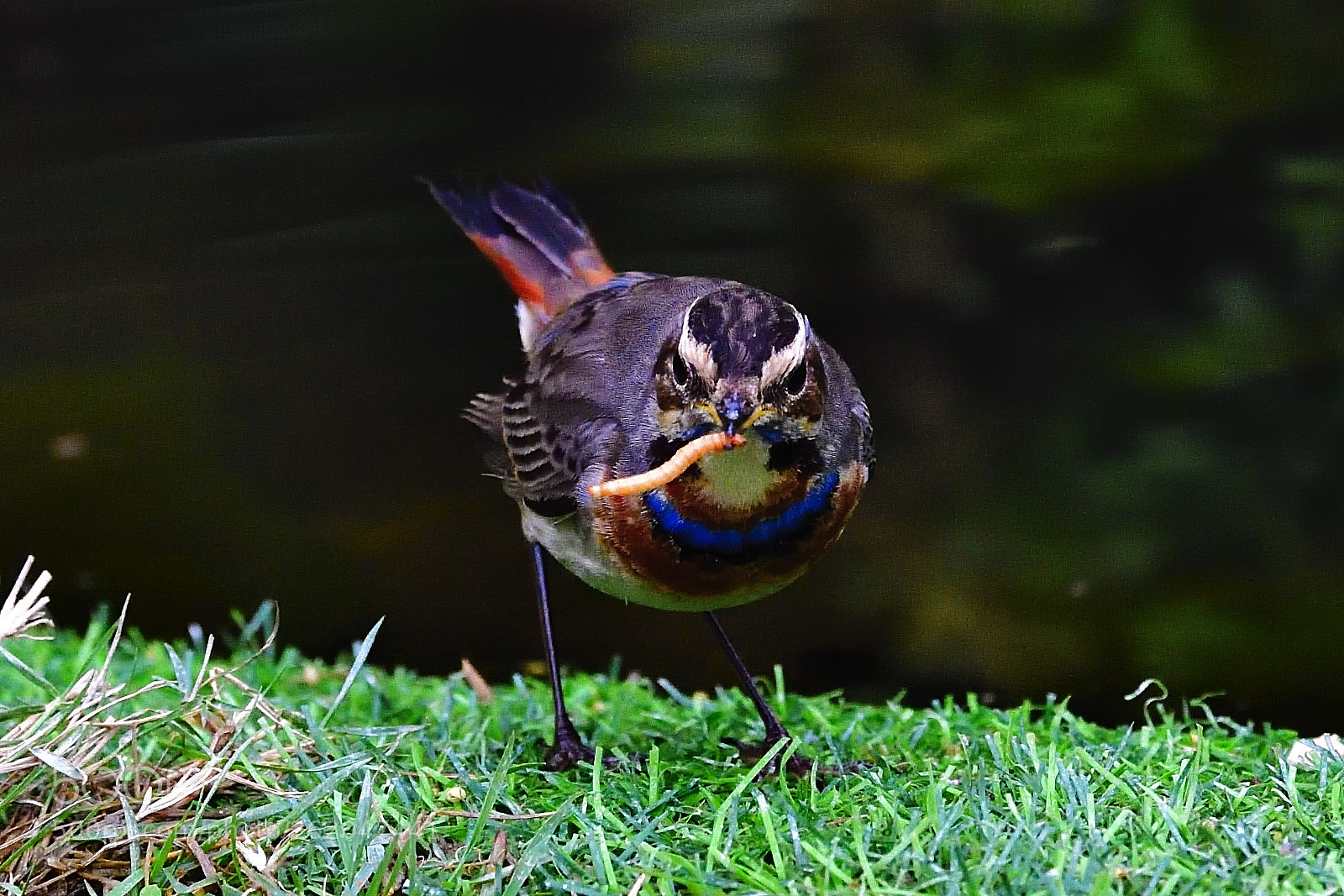 Nikon D5 sample photo. Where? photography