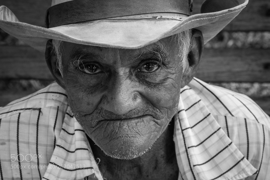 Canon EOS 550D (EOS Rebel T2i / EOS Kiss X4) sample photo. Tamunangue photography