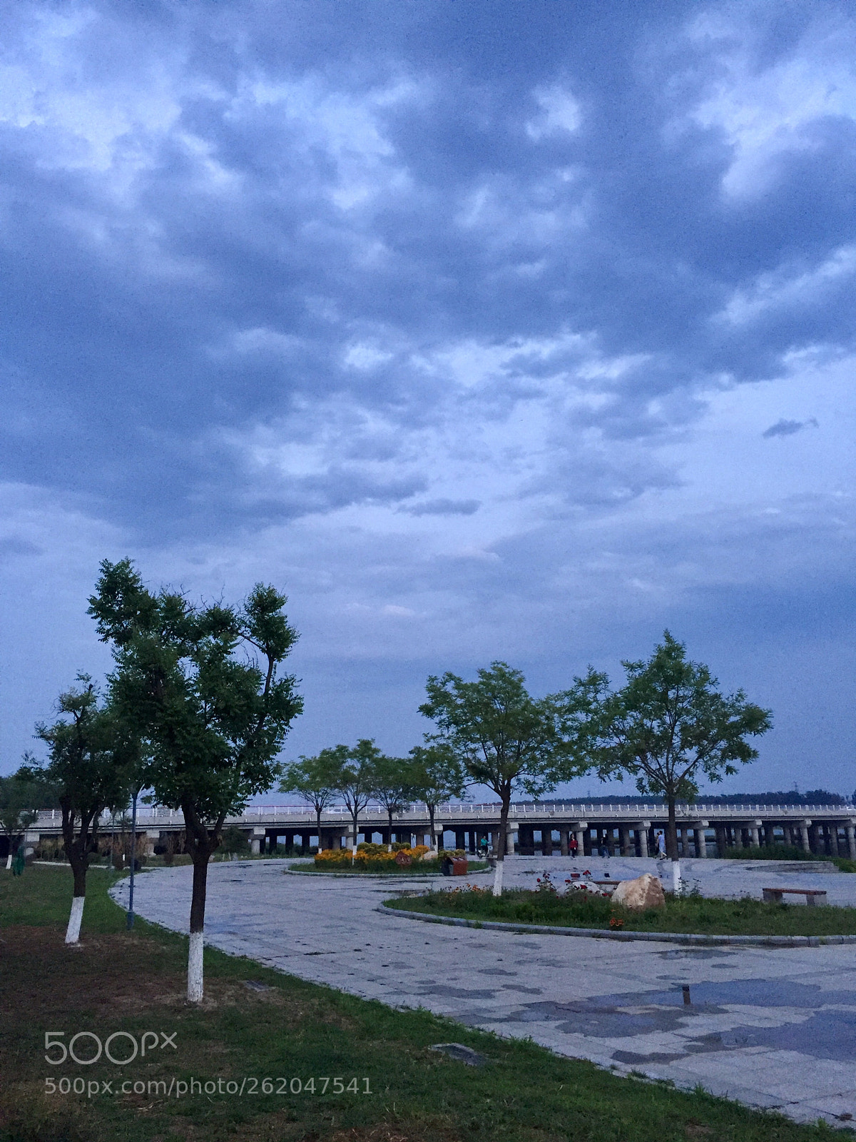 Apple iPhone 6 sample photo. Untitled photography