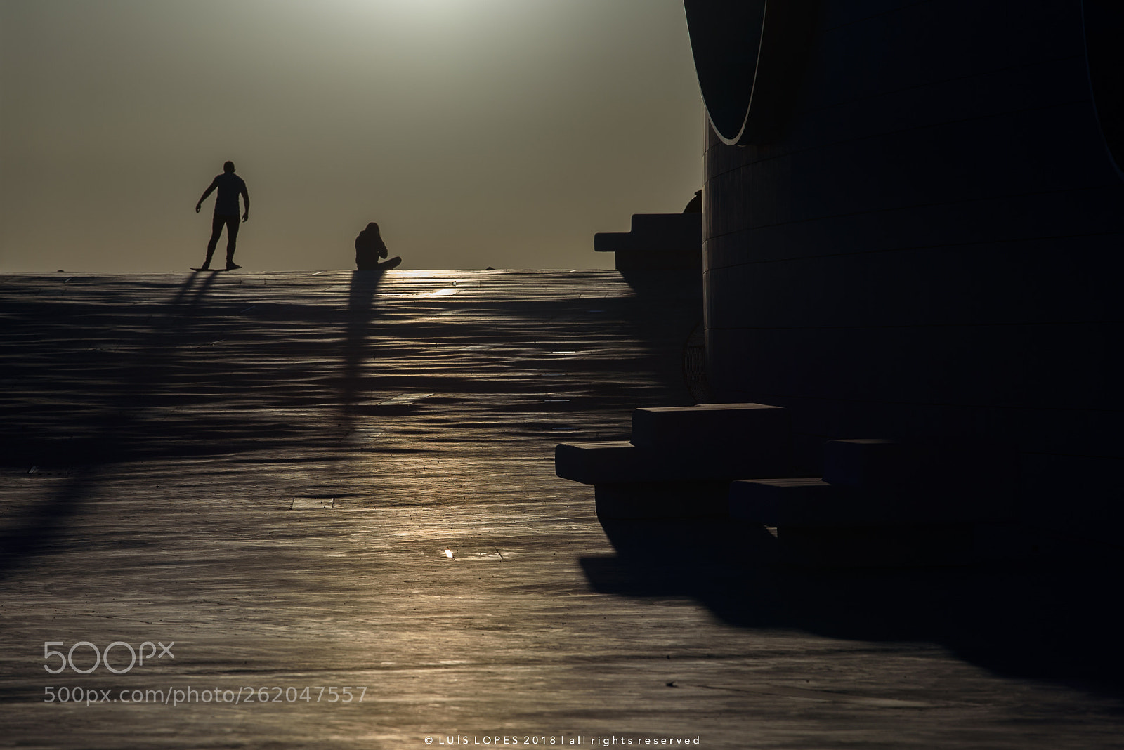 Nikon D750 sample photo. Surfing on dry land photography