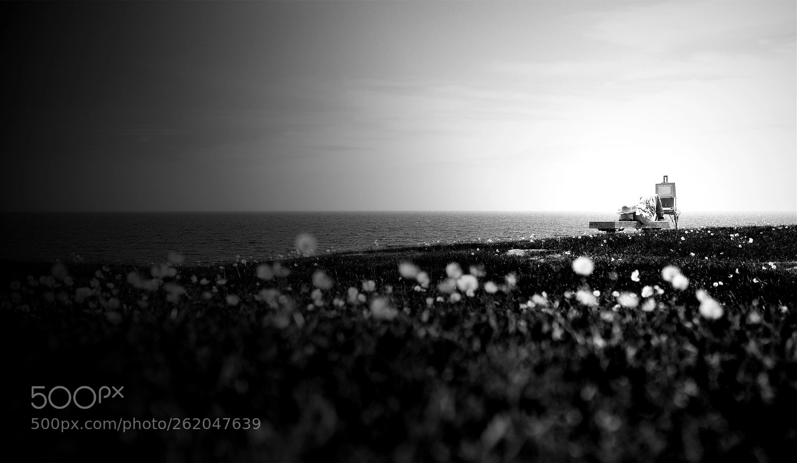 Sony a7R II sample photo. Sleeping painter photography
