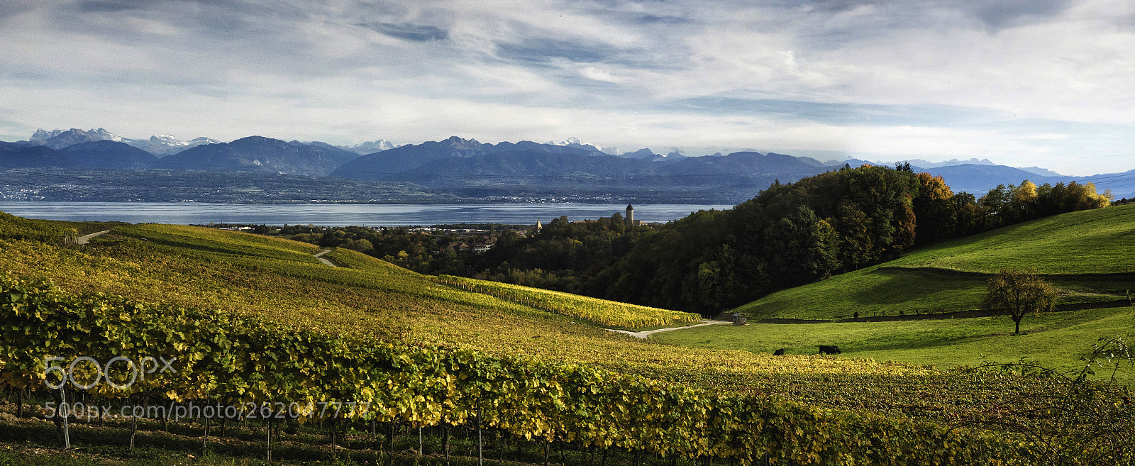 Olympus OM-D E-M1 sample photo. Aubonne, the leman and photography
