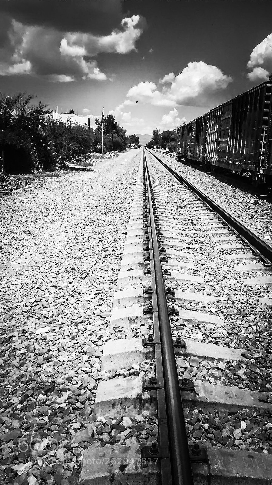 Motorola XT1021 sample photo. Trenes photography